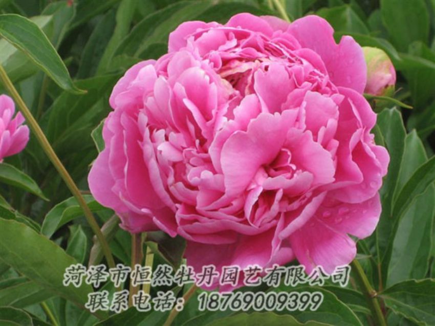 點擊查看詳細信息<br>標題：月照山河 閱讀次數(shù)：1114